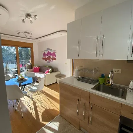 Apartament Stankovic Zlatibor