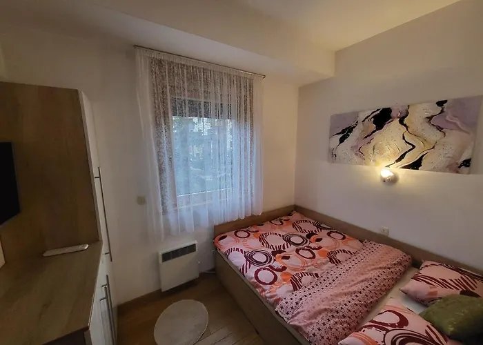 Stankovic Apartman *